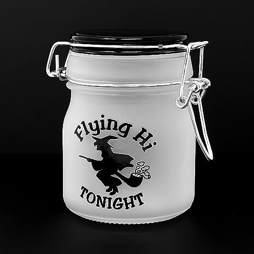Safe Steel-Hinged Glass Jar with Frosted Lid for Airtight Storage