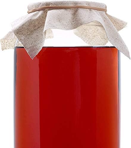 Parker Eight P8 Gallon Jar 2PK - Perfect for Ferments Pickles