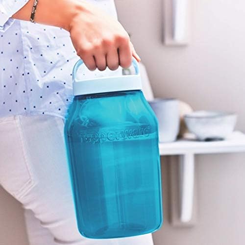 Tupperware 3L Plastic Jar