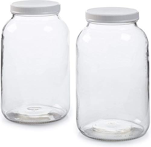 Parker Eight P8 Gallon Jar 2PK - Perfect for Ferments Pickles