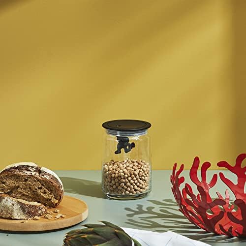 Alessi W Gianni Glass Box White