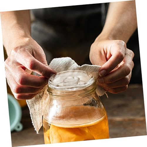 Hoement 2pcs Fermented Glass Weights for Mason Jars 1