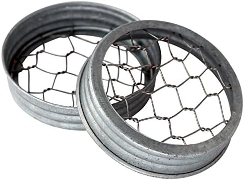 3-Pack of Metal Frog Lids for Mason Jars Holds 3