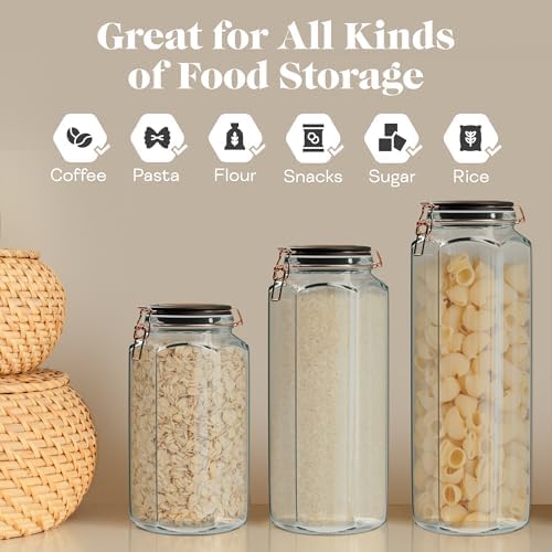 Amici Home Adler Hermetic Glass Canister Set of 2