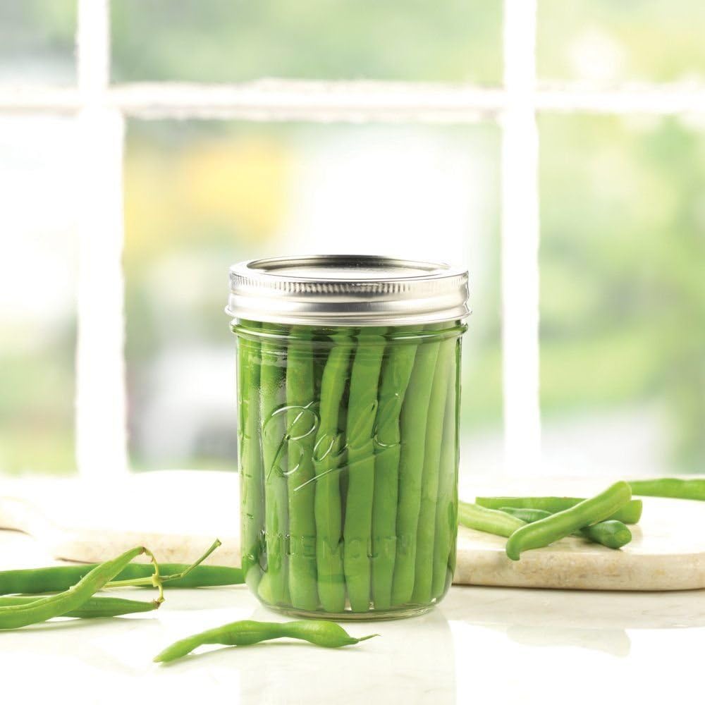 Jarden Ball Jar 66000 1 Pint Wide Mouth Canning Case