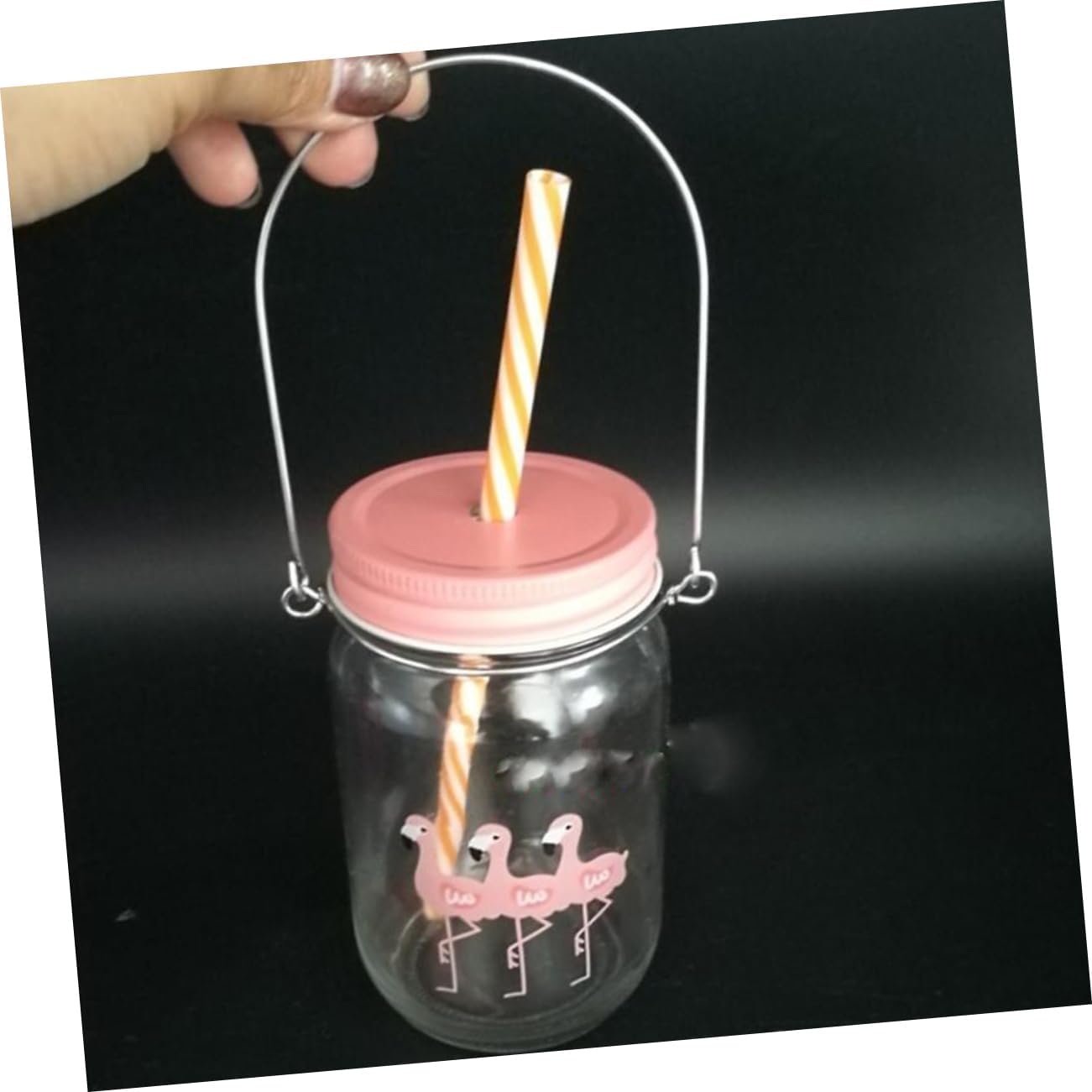 2 Set Mason Jar Hangers with Solar Lights