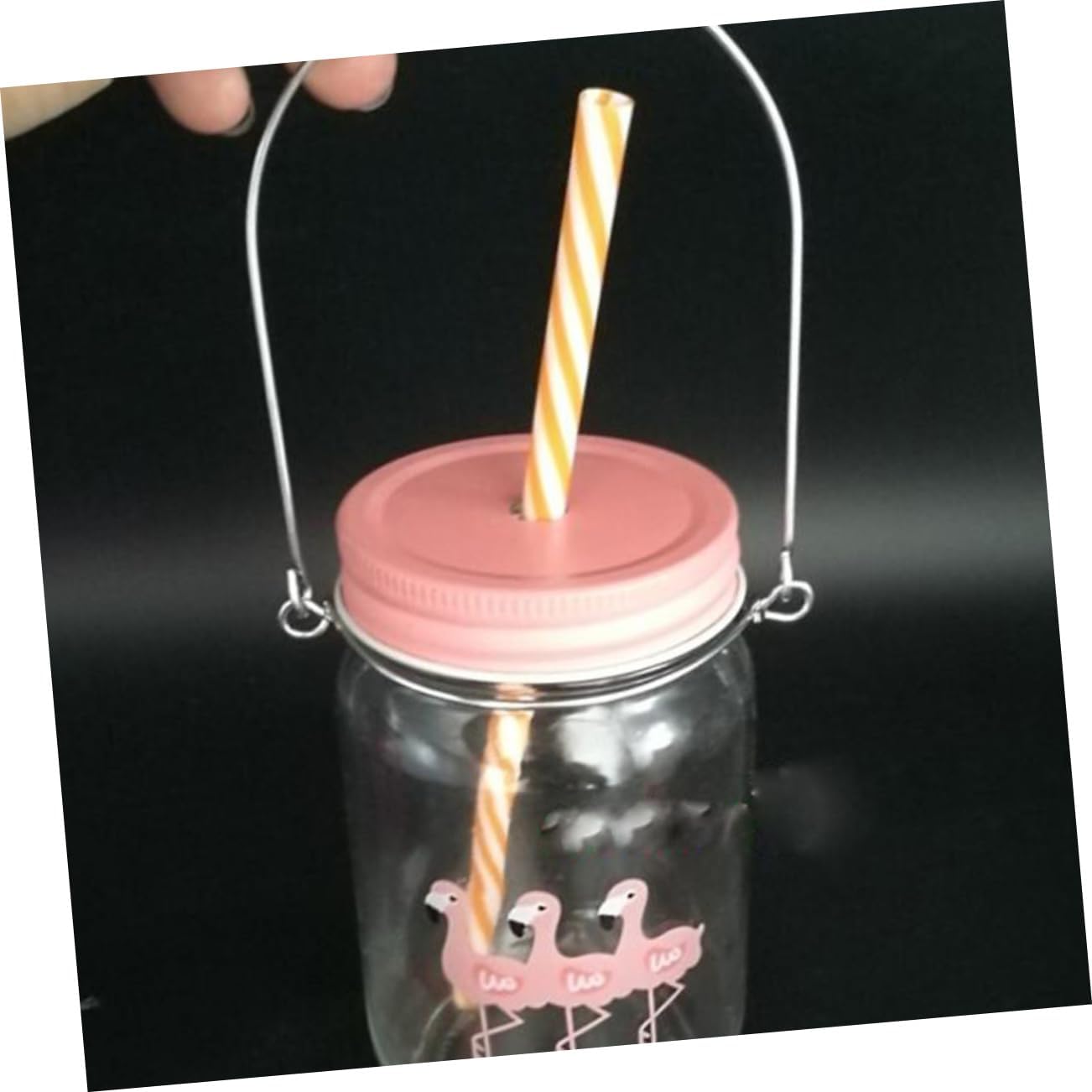 Zerodeko Mason Jar Hangers