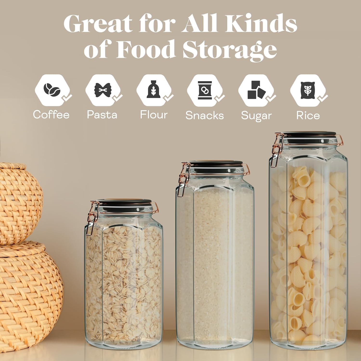 Amici Home Adler Hermetic Glass Canister Set of 2